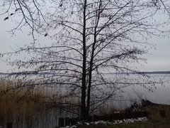 20190120_124127.jpg