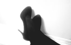20190127_021142.jpg
