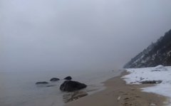 20190127_120127-1.jpg