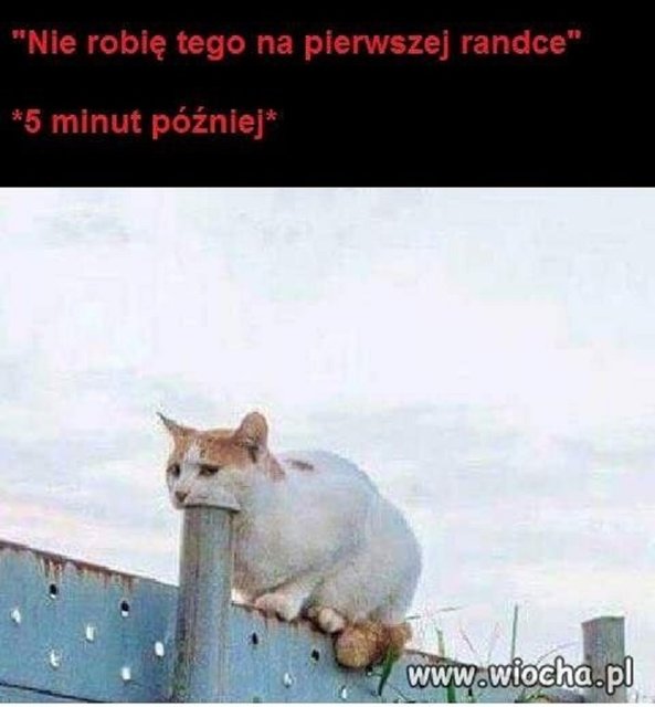 więc na randki nie chodzę :P - wredota1987