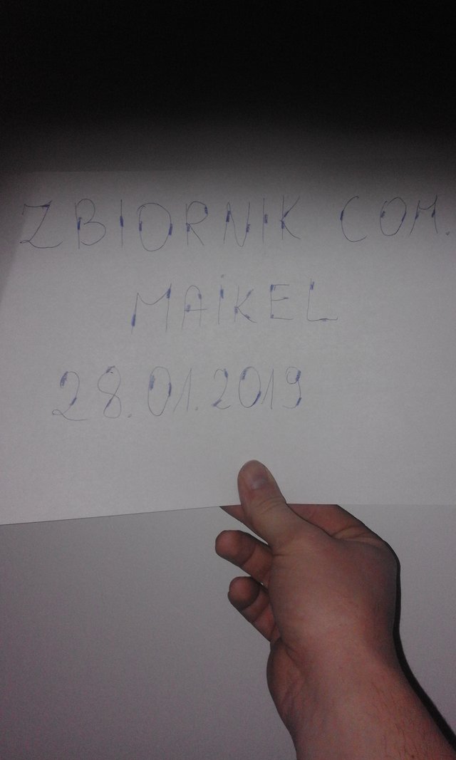 maikel31