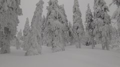 IMG_20190128_141603.jpg
