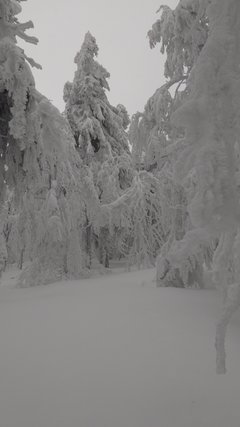 IMG_20190128_130814.jpg