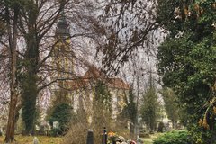 _DSC6690.jpeg