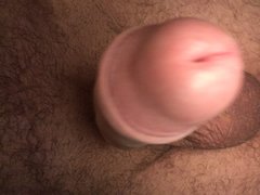 IMG_2312.JPG