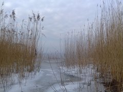 20190131_124625.jpg