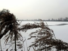 20190202_090741.jpg