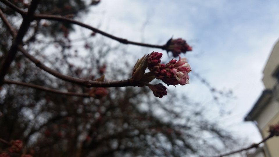 20190202_135201.jpg - Nice71