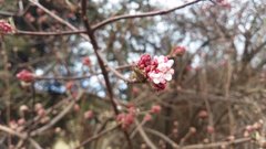 20190202_135143.jpg
