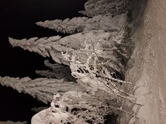 20190129_192226.jpg