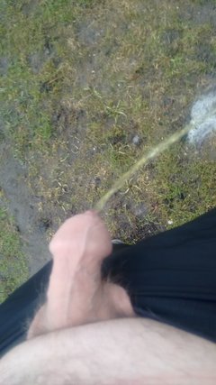 IMG_20190203_142537915.jpg