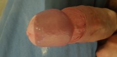 20190203_154652.jpg