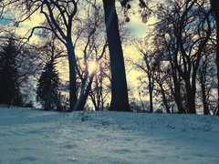 20190204_132630.jpg