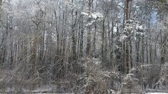 20190205_111130.jpg