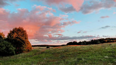 Kujawsko-pomorskie