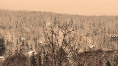 Zima