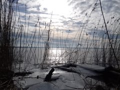 20190207_124025.jpg