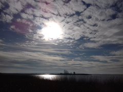 20190207_125229.jpg