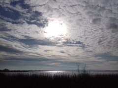 20190207_123521.jpg