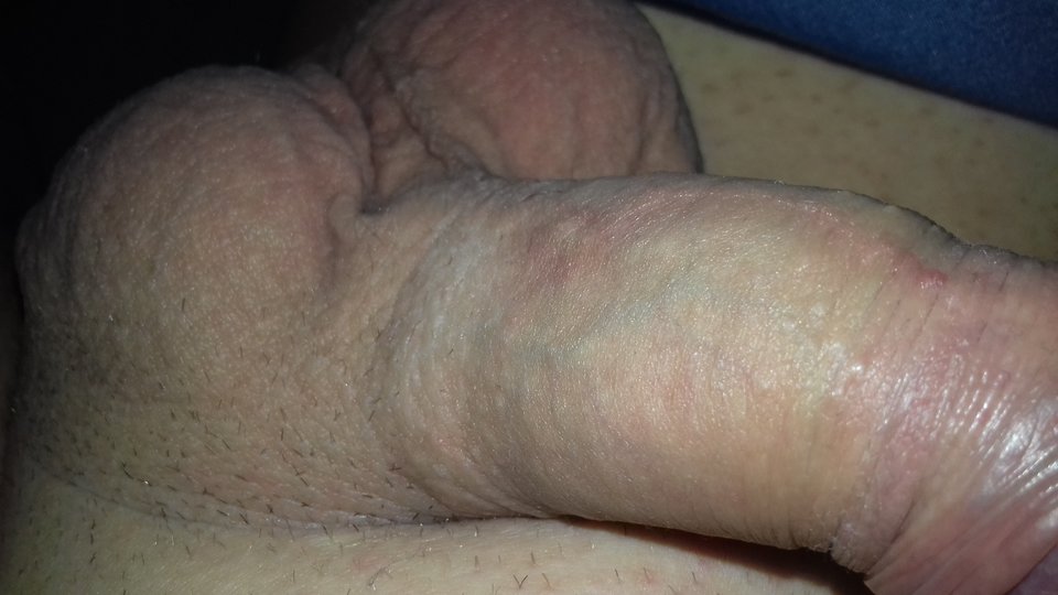 20190210_114055.jpg - robercu