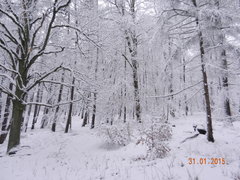 DSCN2589.JPG