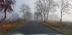 20181115_093744.jpg