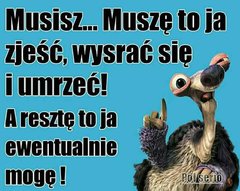 FB_IMG_1526770881323.jpg
