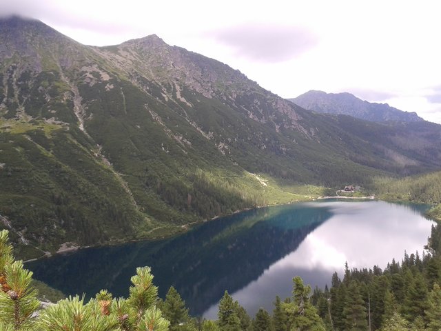 wieczniemi
