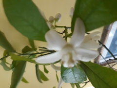 20190213_112817.jpg