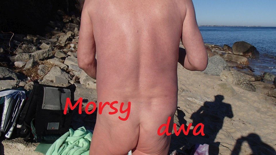 Babie Doły. - Morsy_dwa