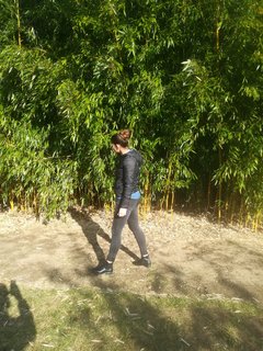 IMG_20190217_114646.jpg