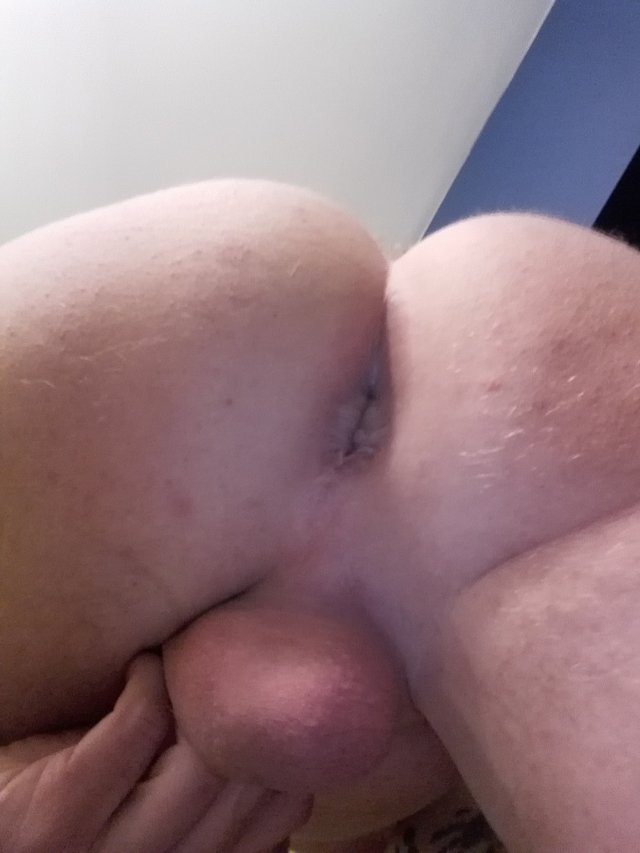 Gaybus86