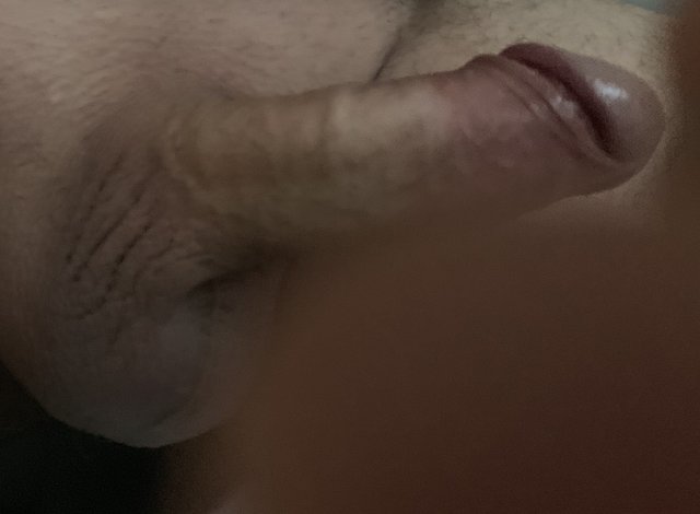 pBiOn
