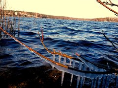 20190222_140207.jpg