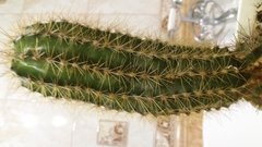 20190223_213219.jpg