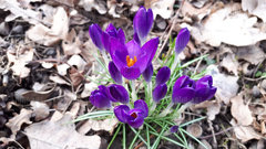 20190224_155115.jpg