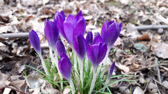 20190224_155047.jpg