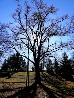 20190227_164204.jpg