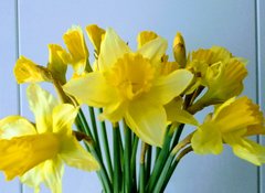 IMG_20190228_163648~2.jpg