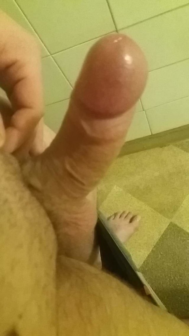 tomus1103