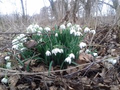 20190302_143831.jpg