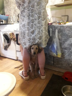 20190303_103953.jpg