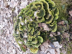 20190227_110626.jpg