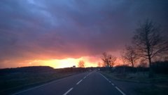 WP_20190304_020.jpg