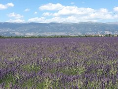 IMG_0101 (2).JPG