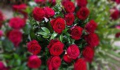 IMG_20190308_062800.jpg