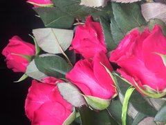 36D14365-1040-4A75-A291-5CF461AF961E.jpeg