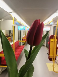 IMG_20190308_173640.jpg