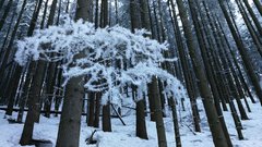 IMG_20190205_134855.jpg