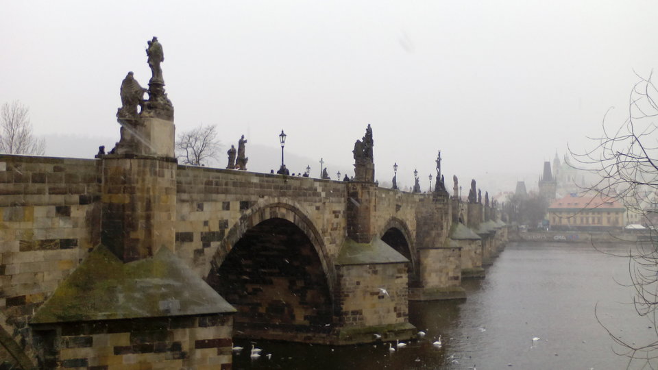 IMG_20150107_110402.jpg - ZwalMySI2415